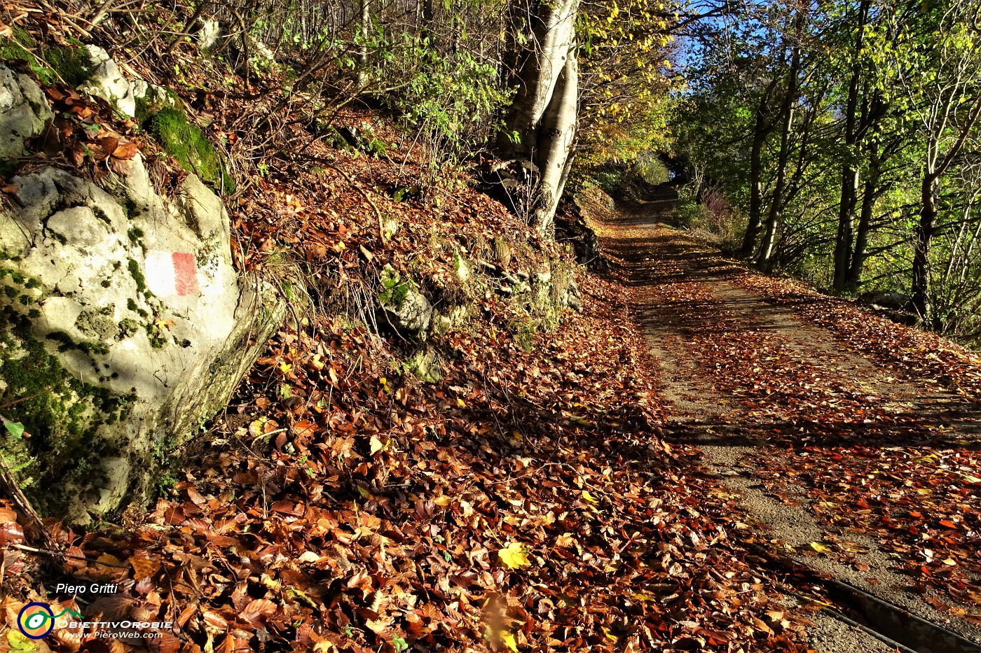 15 Foglie colorate d'autunno.JPG